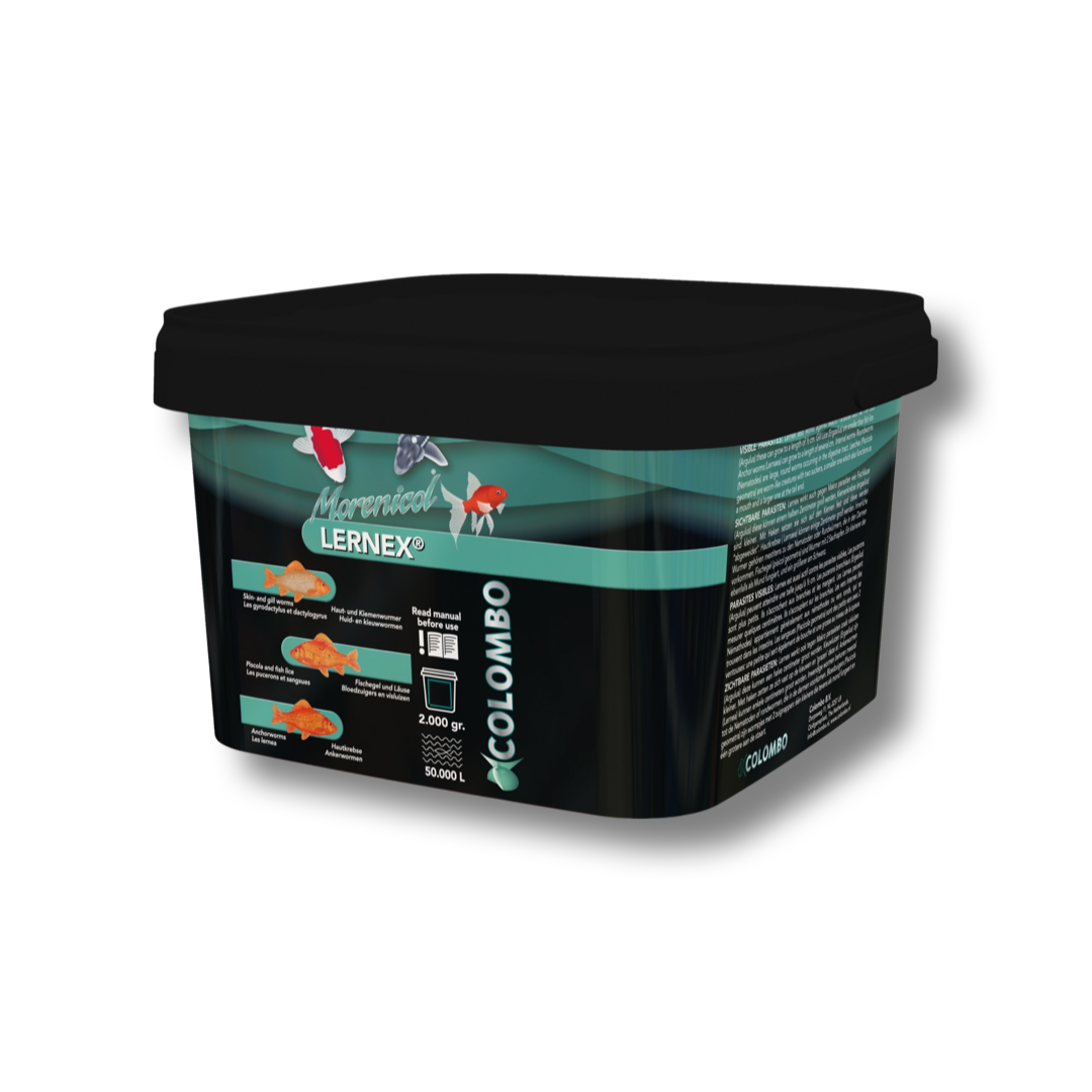 Morenicol Lernex 2000GR