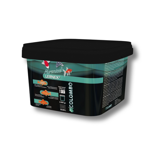Morenicol Lernex 2000GR